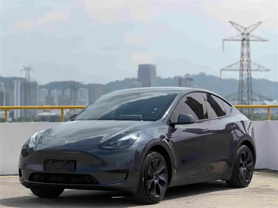 Tesla Model Y Rear-Wheel Drive Version 2025