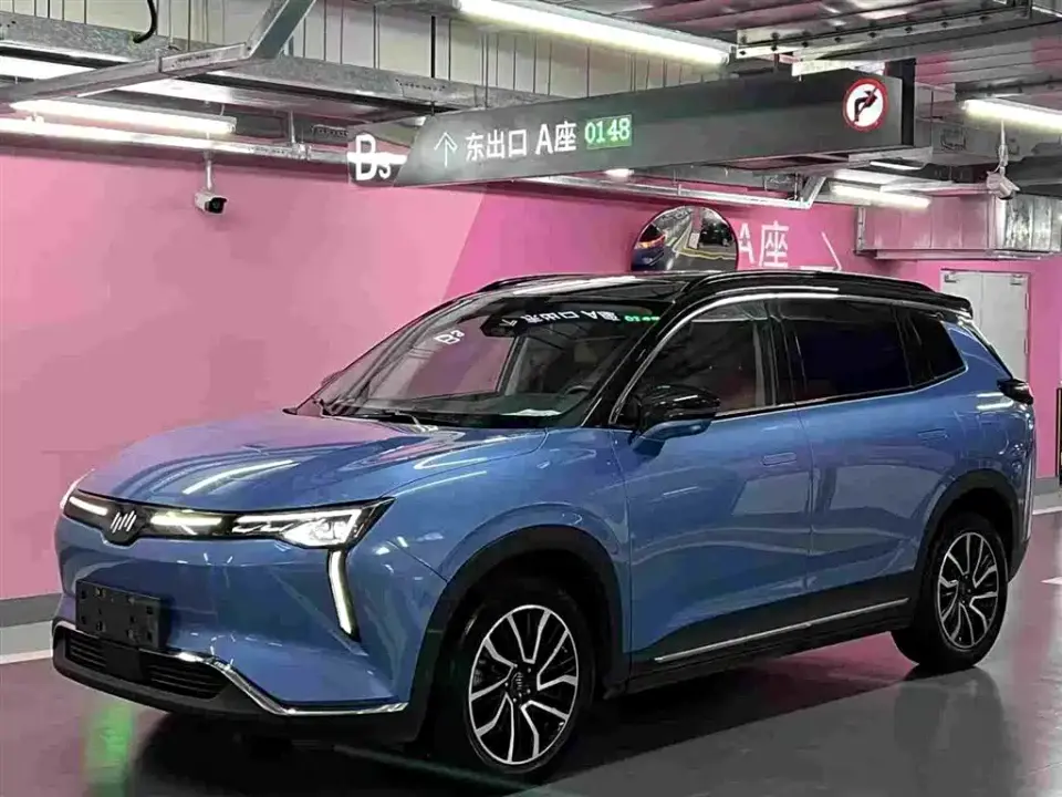 Weltmeister W6 520km PRO All-round Edition 2021