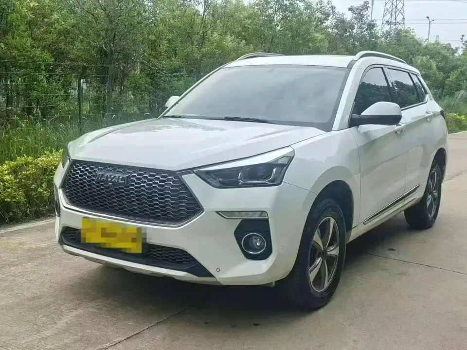 Haval H6 Coupe Red Label 1.5T Auto 2WD Luxury Edition 2019