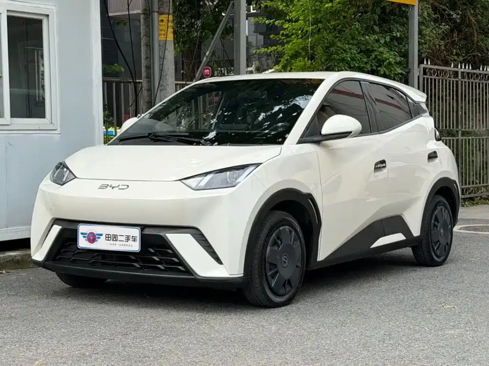 BYD Seagull Glory Edition 305km Vitality Edition 2024