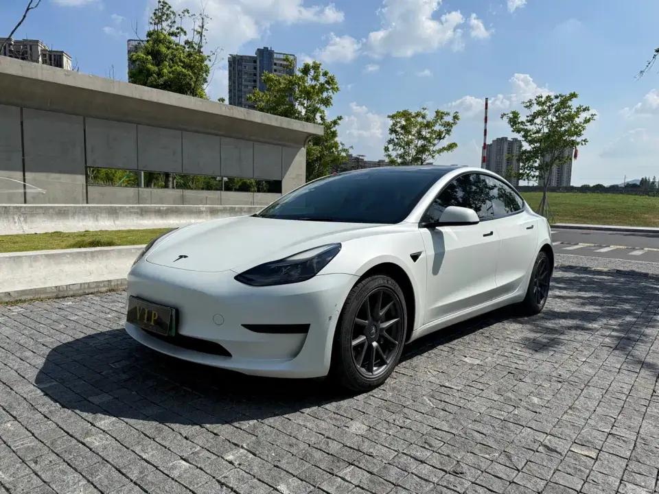 Tesla Model 3 Standard Range Rear-Wheel Drive Upgrade 3D6 2022