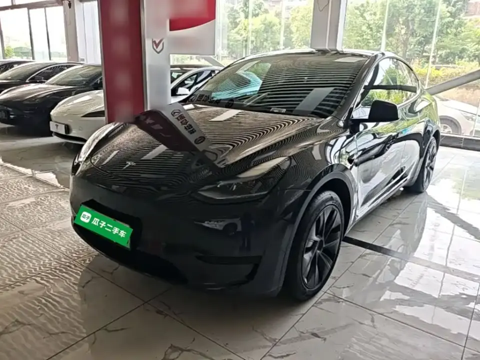 Tesla Model Y Rear-Wheel Drive Version 2024
