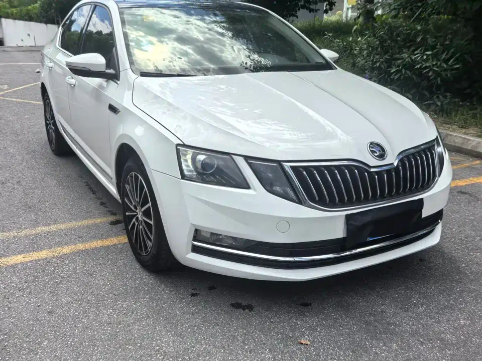 Skoda Octavia TSI230 DSG Smart Luxury Edition China V 2019