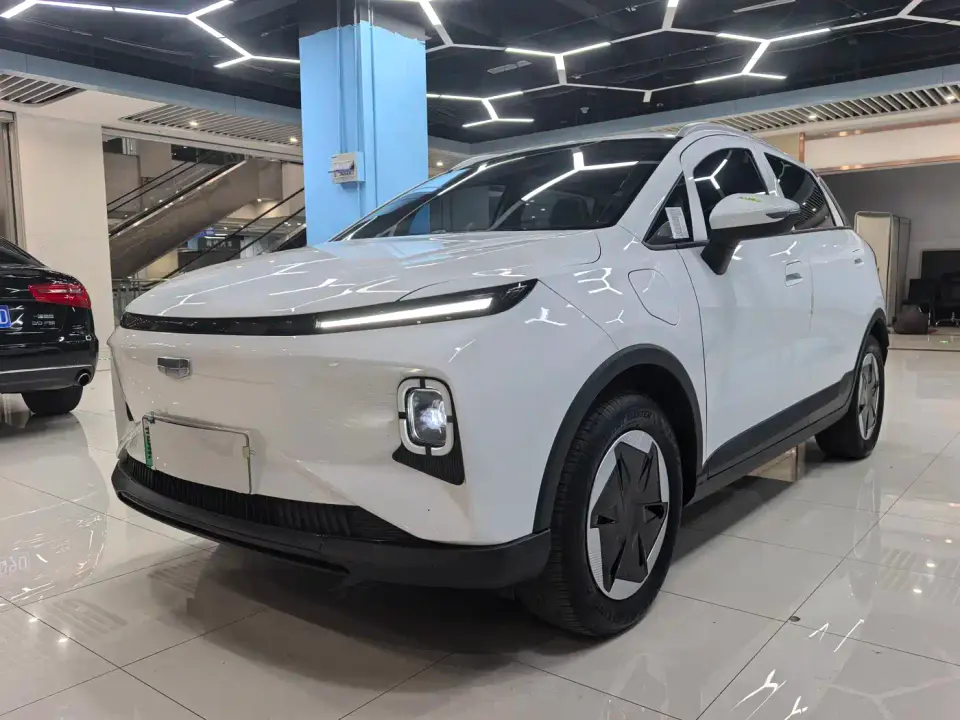 Geely Geometry E Firefly Model 301km Starlight 2024