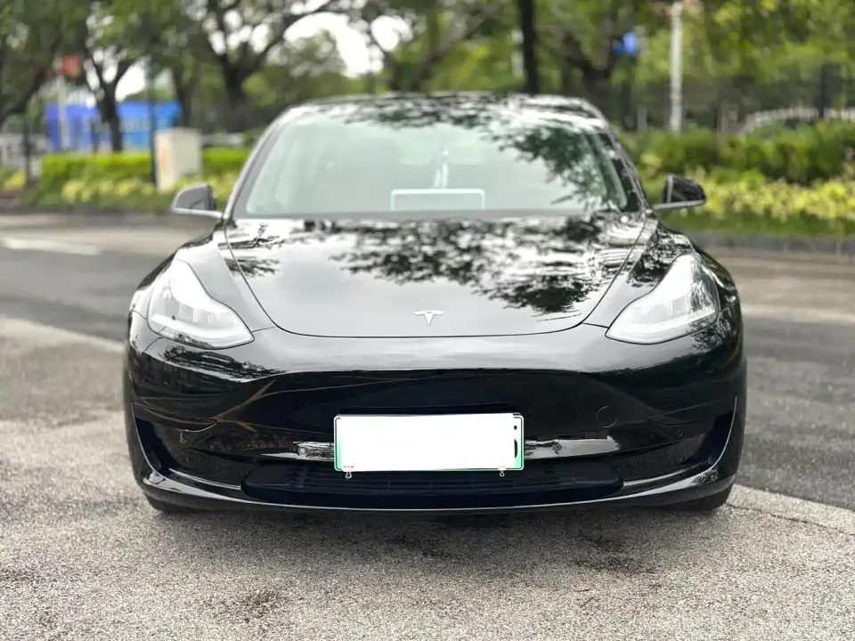 Tesla Model 3 Model Rear-Wheel Drive Version 2022