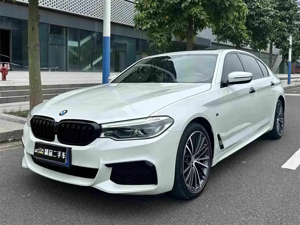 BMW 5 Series 530Li Leading M Sport Package 2019