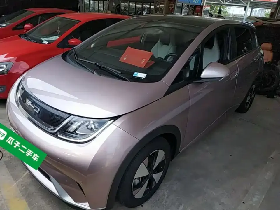 BYD Dolphin 420km Fashion Edition 2024