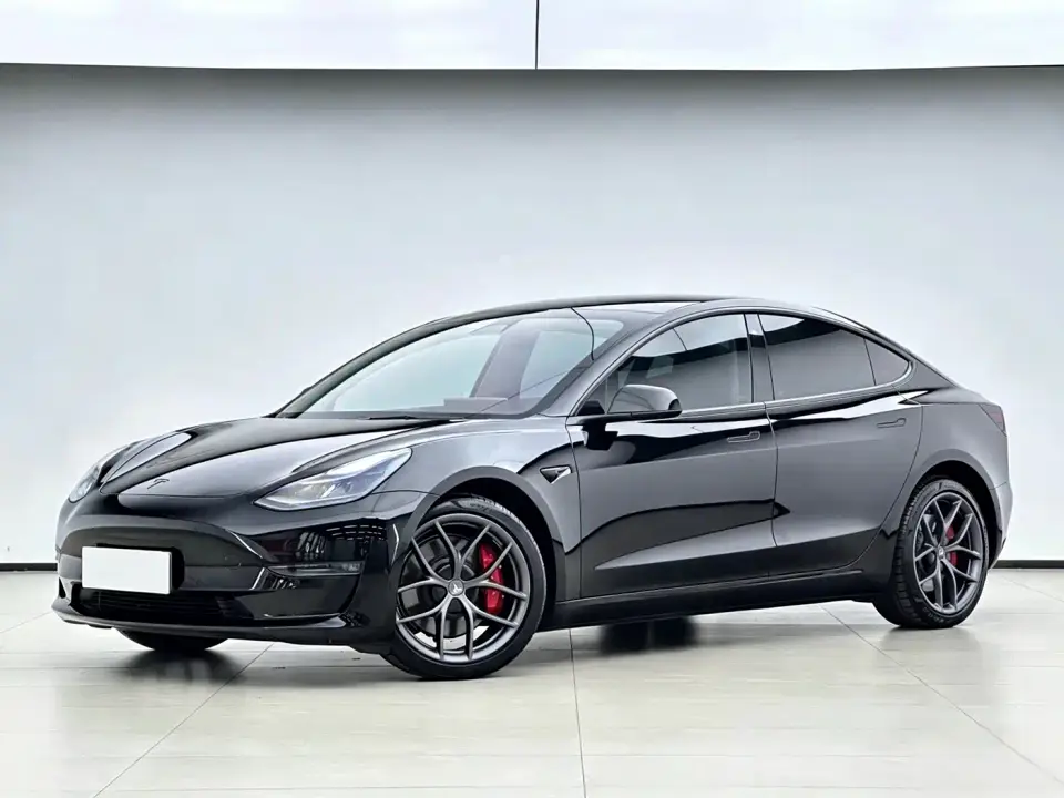 Tesla Model 3 Performance High-Performance All-Wheel Drive 3D6 2021