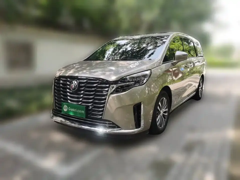 Buick GL8 ES Landmaster Exclusive 2024