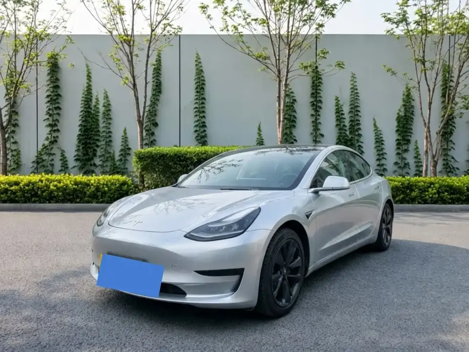 Tesla Model 3 Standard Range Rear-Wheel Drive Upgrade 2020