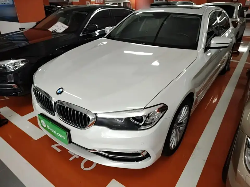 BMW 5 Series 530Li Leading Luxury Package 2019