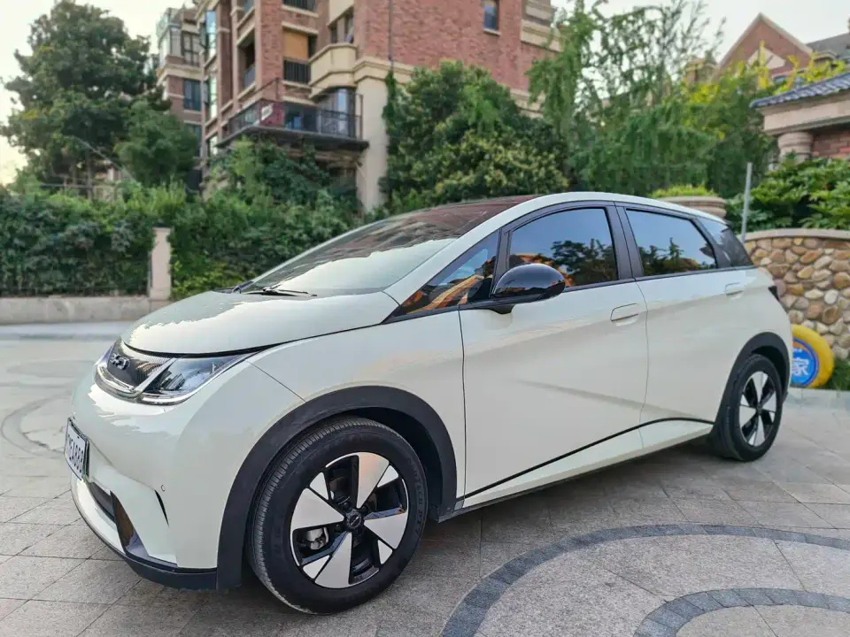 BYD Dolphin 420km Fashion Edition 2024