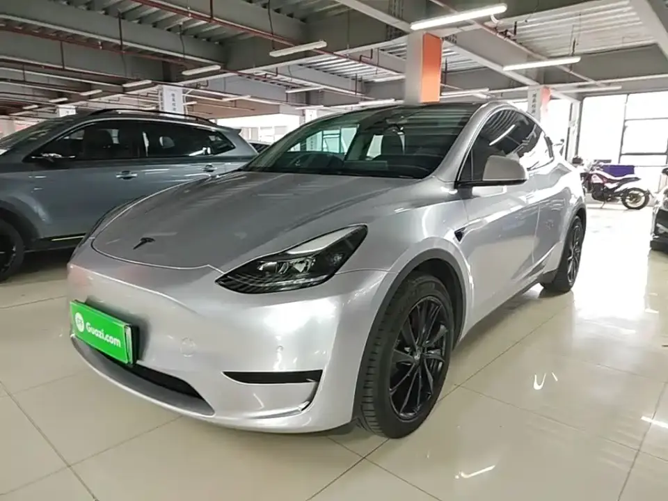 Tesla Model Y Rear-Wheel Drive Version 2022