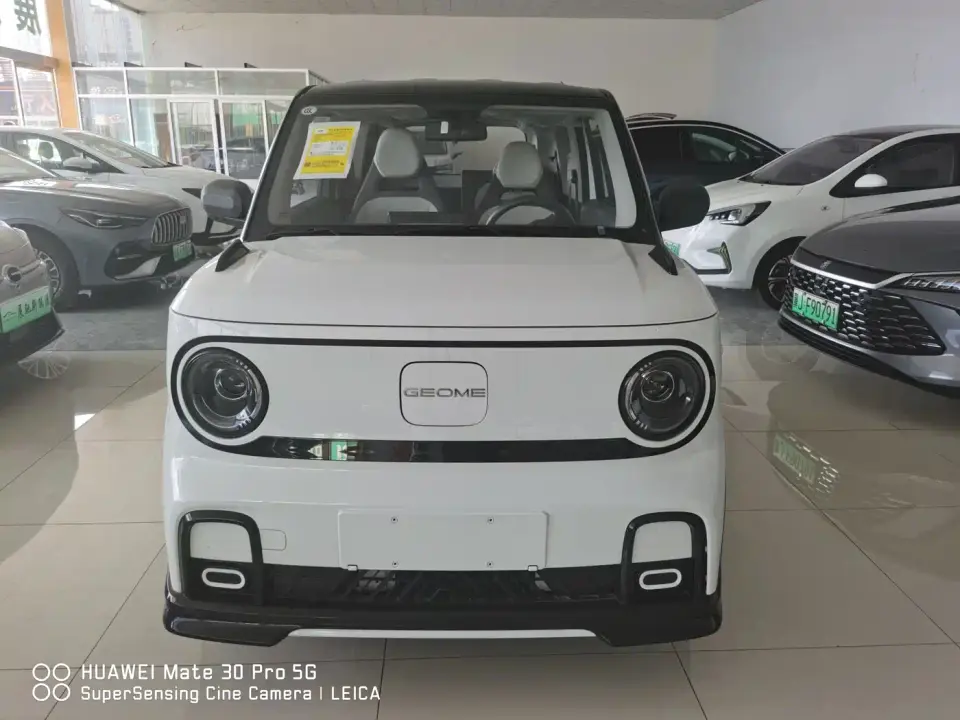 Geely Galaxy Panda Model Year 210km Panda Kart 2026