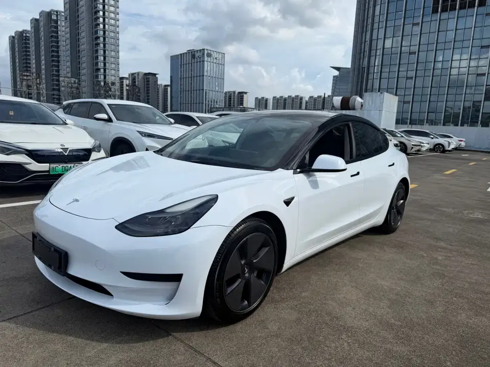 Tesla Model 3 Model Rear-Wheel Drive Version 2022