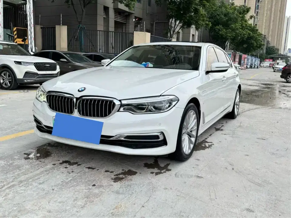 BMW 5 Series New Energy 530Le Luxury Package 2020