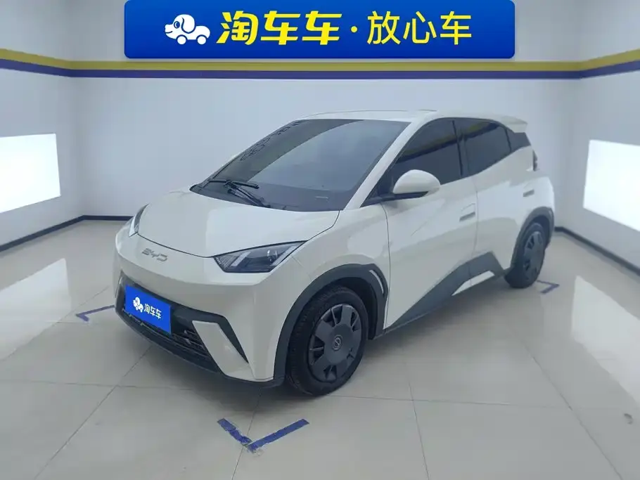 BYD Seagull Vitality Edition 2024