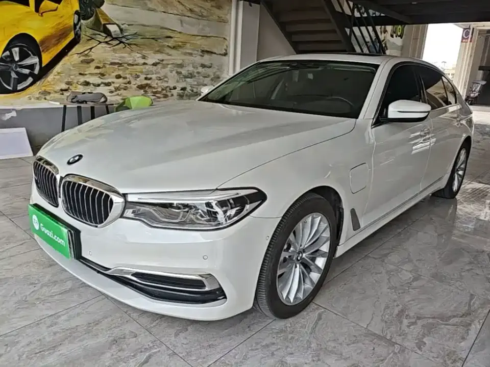 BMW 5 Series New Energy 530Le Range Upgrade Luxury Package 2020