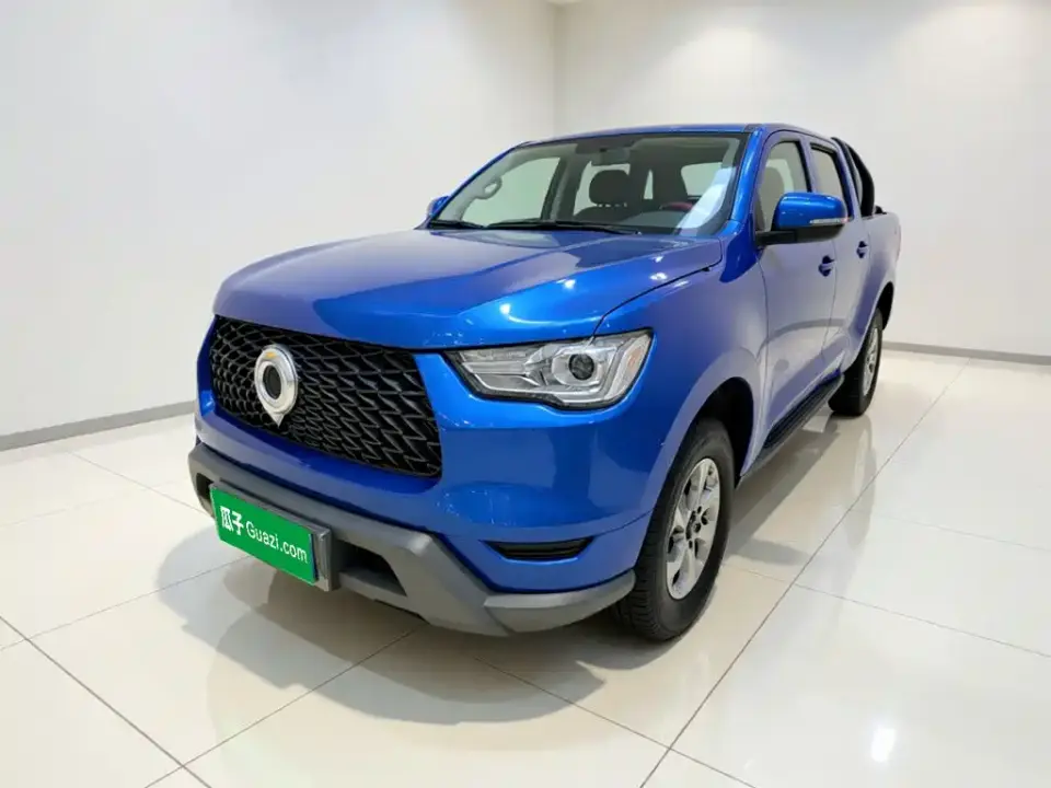 Great Wall Pao 2.0T Commercial Edition Manual Diesel 2WD Elite Long Box GW4D20M 2021