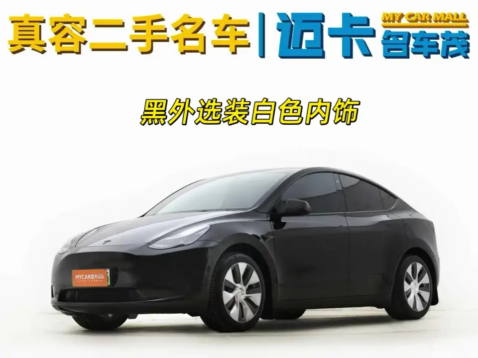 Tesla Model Y Rear-Wheel Drive Version 2022