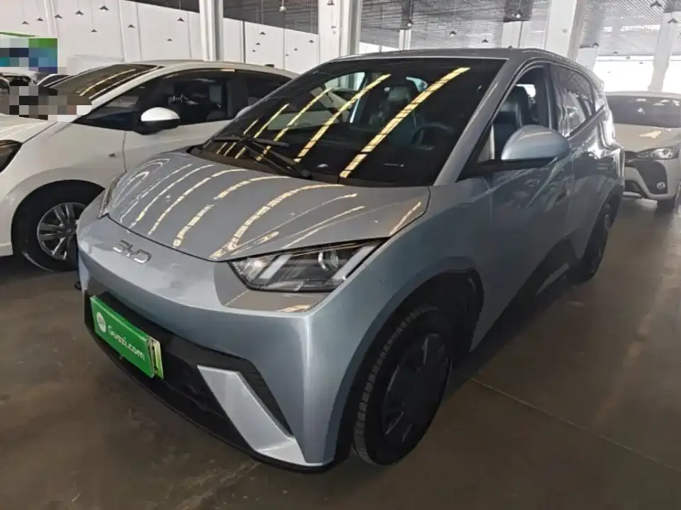 BYD Seagull 305km Vitality 2024
