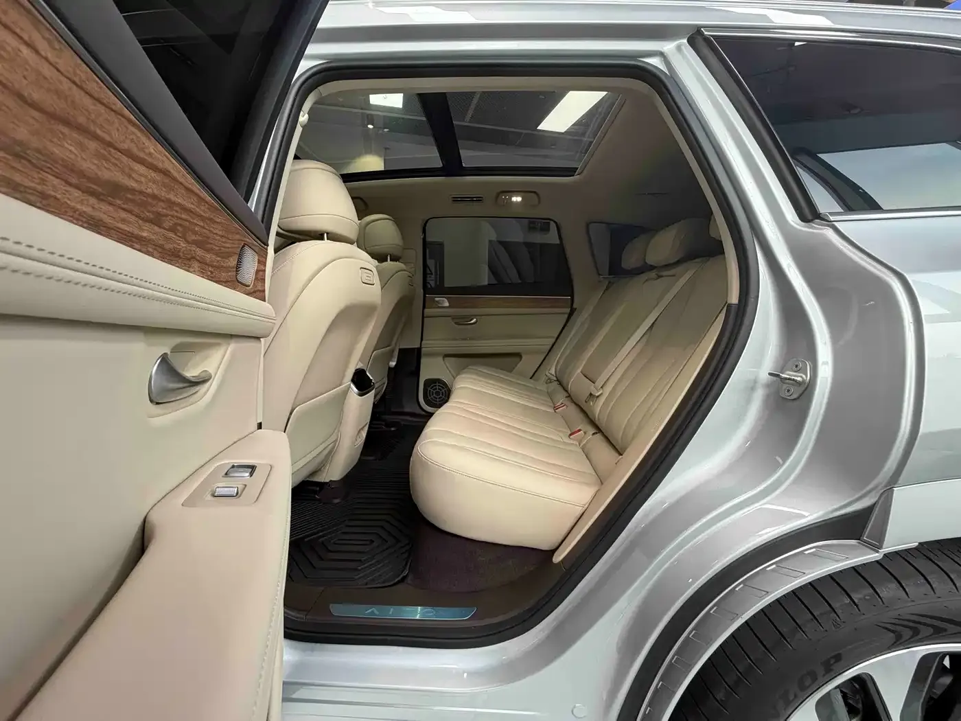 AITO Wenjie AITO M7 1.5T RWD Plus 5-Seater 2023 — фото 12