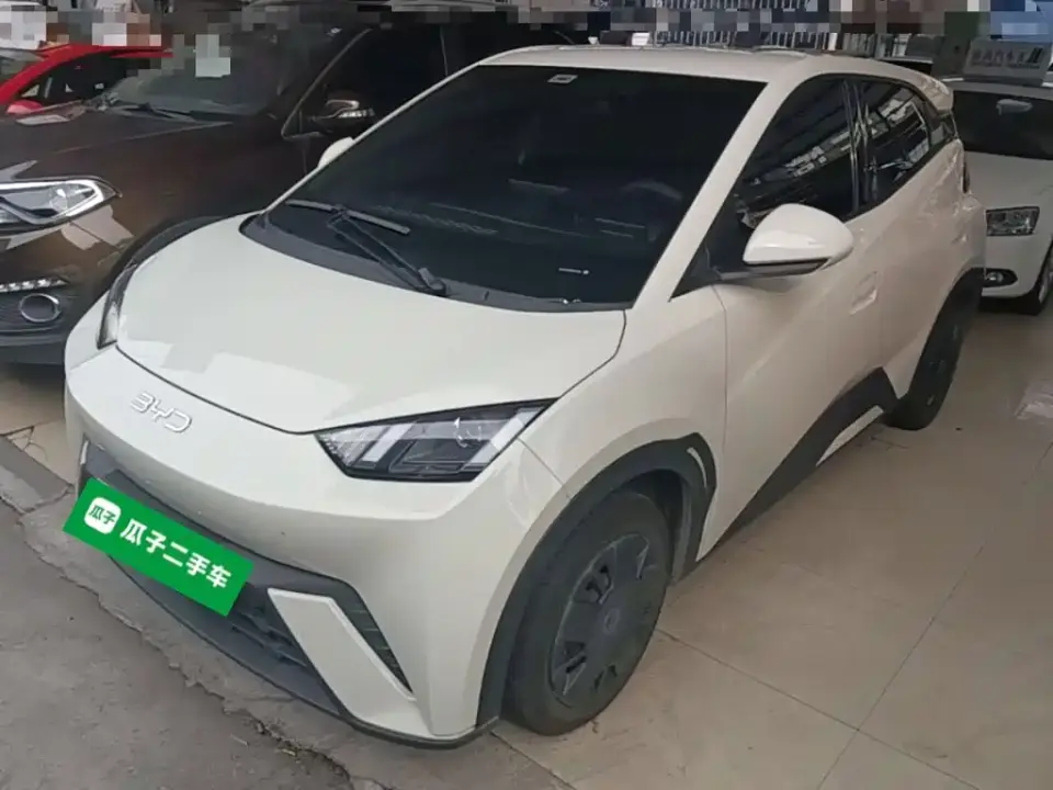 BYD Seagull Glory Edition 305km Vitality Edition 2024