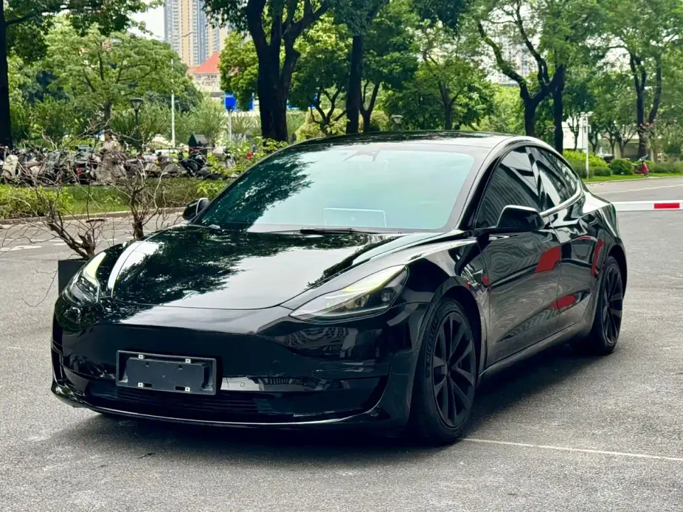 Tesla Model 3 Model Rear-Wheel Drive Version 2023