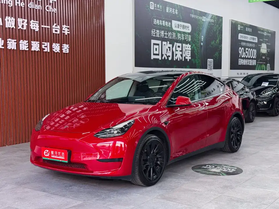 Tesla Model Y Rear-Wheel Drive Version 2022