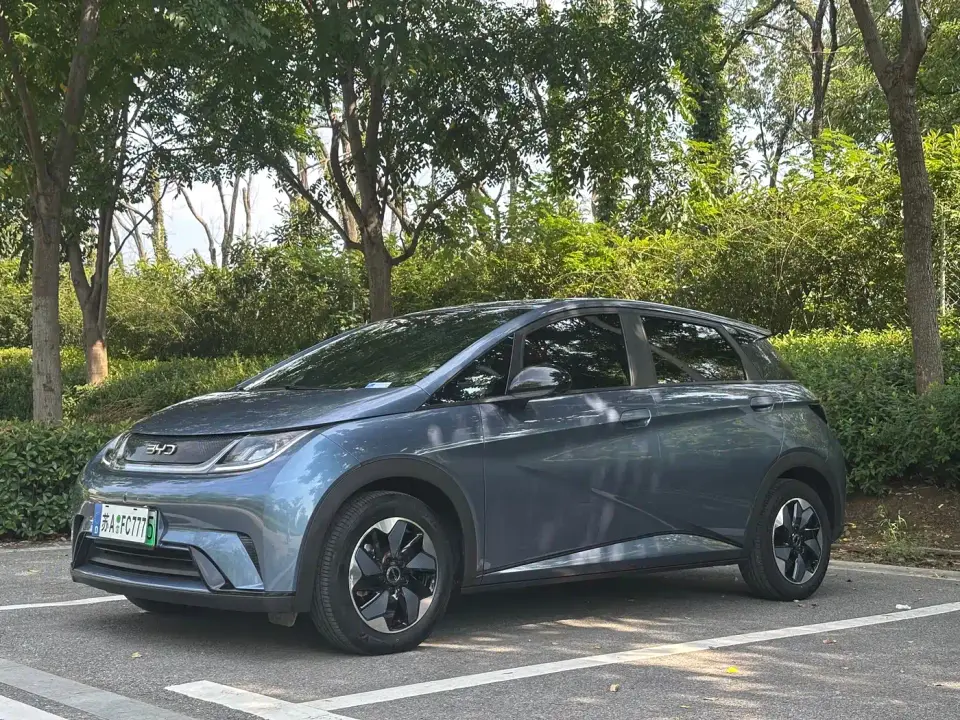 BYD Dolphin 420km Freedom Edition 2024