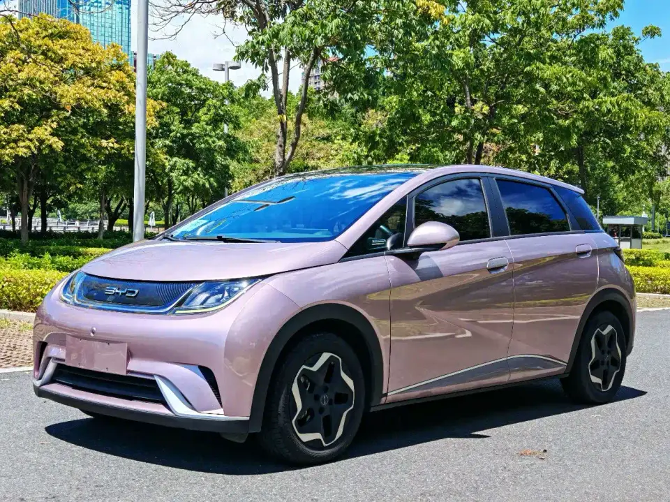 BYD Dolphin Model 405km Fashion Edition 2022