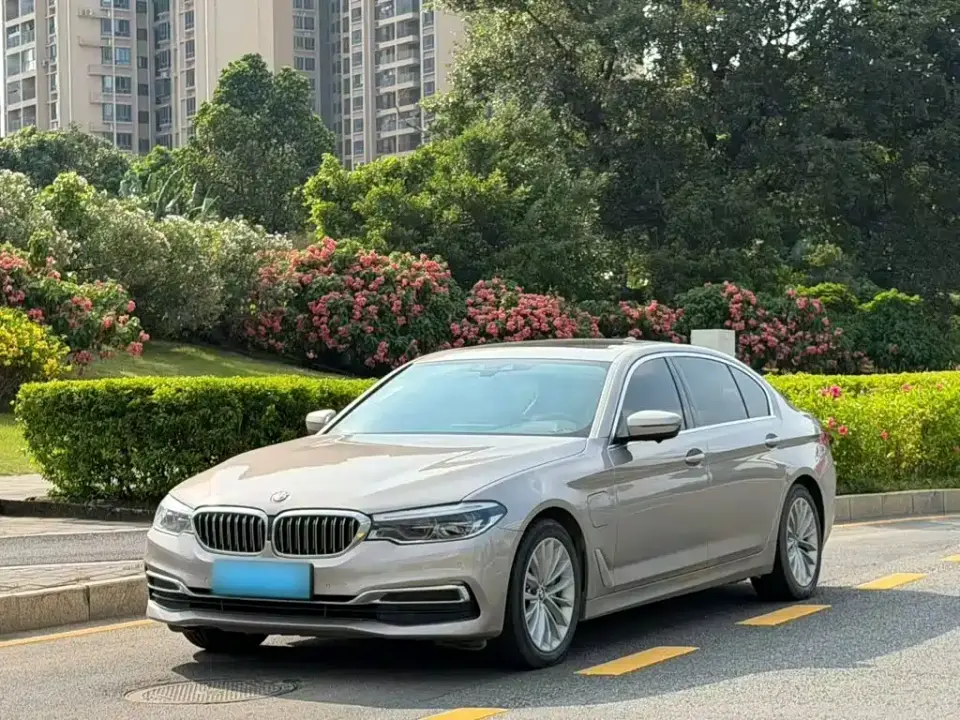 BMW 5 Series New Energy 530Le Luxury Package 2019