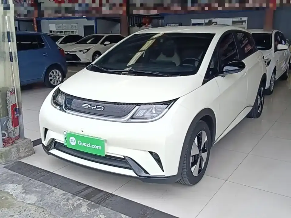 BYD Dolphin 420km Freedom Edition 2023