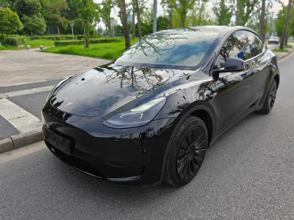 Tesla Model Y Rear-Wheel Drive Version 2024