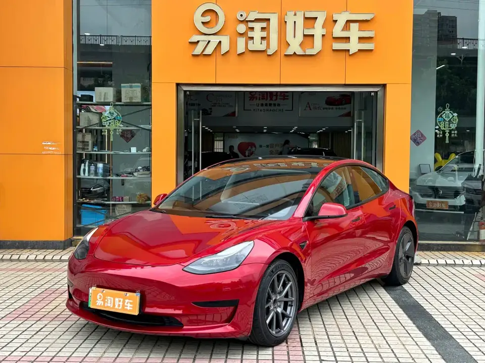 Tesla Model 3 Standard Range Rear-Wheel Drive Upgrade 3D6 2021