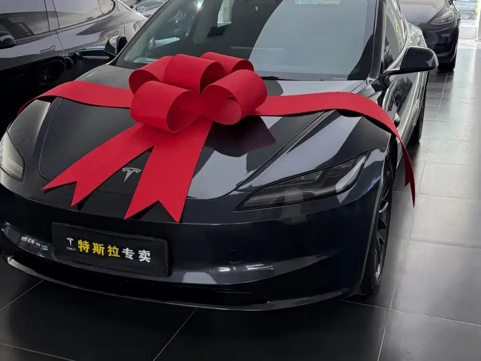 Tesla Model 3 Rear-Wheel Drive 2025