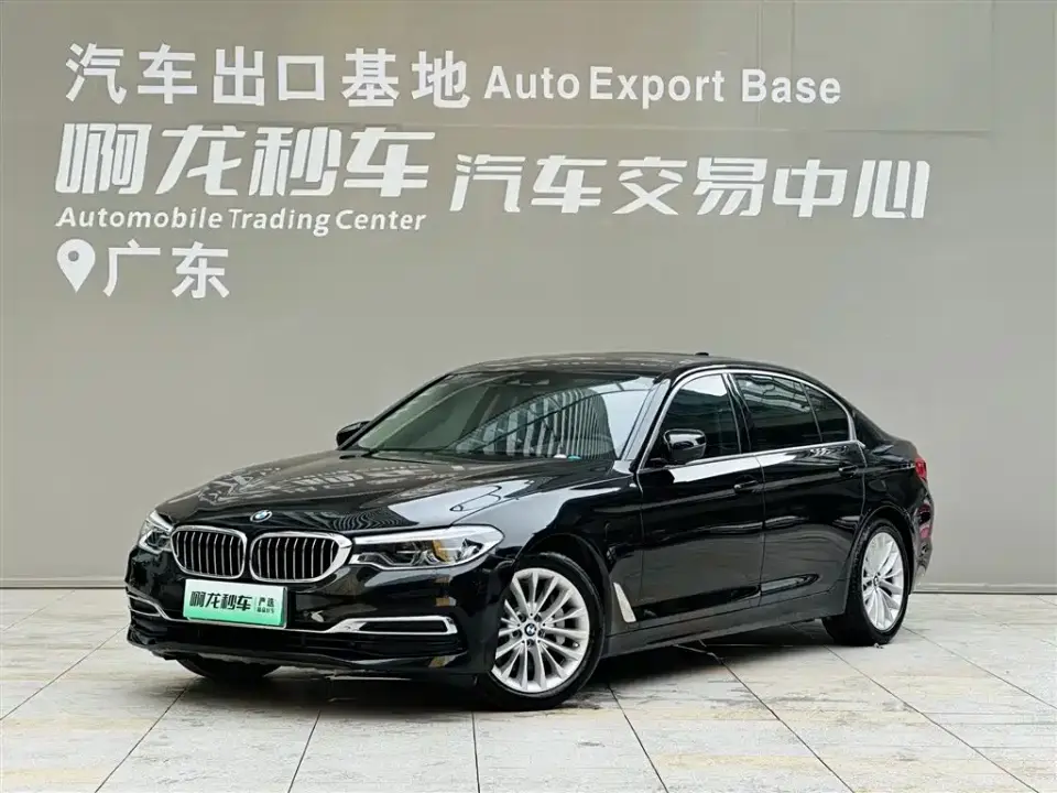 BMW 5 Series New Energy 530Le Luxury Package 2019