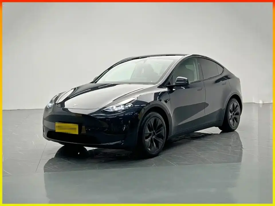 Tesla Model Y Rear-Wheel Drive Version 2024