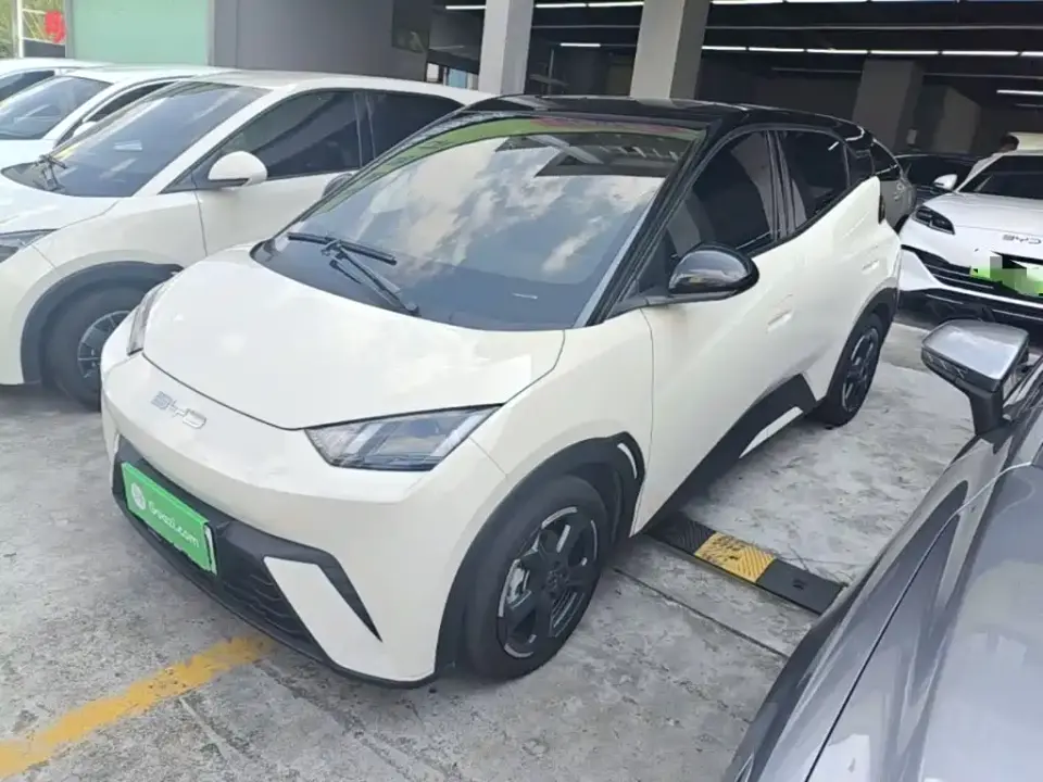 BYD Seagull Freedom Edition 2023