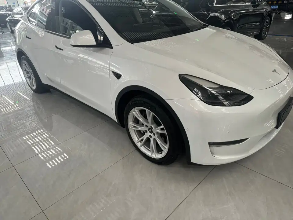 Tesla Model Y Model Long Range AWD 2021