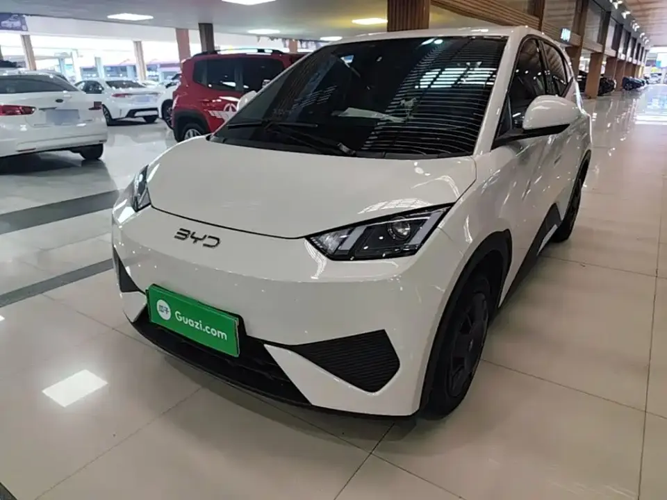 BYD Seagull Smart Drive Edition 305km Vitality Version 2025