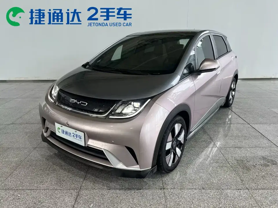 BYD Dolphin 401km Knight Edition 2022