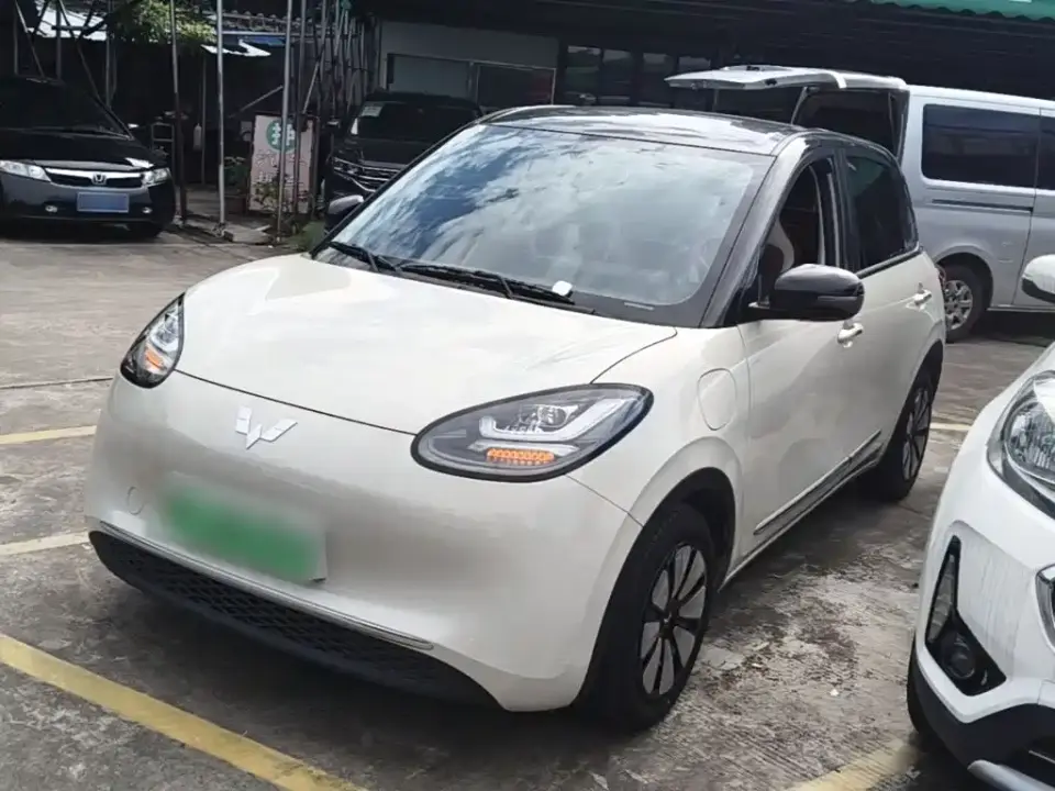 Wuling Motors Wuling Bingo 333km Comfort Edition 2024