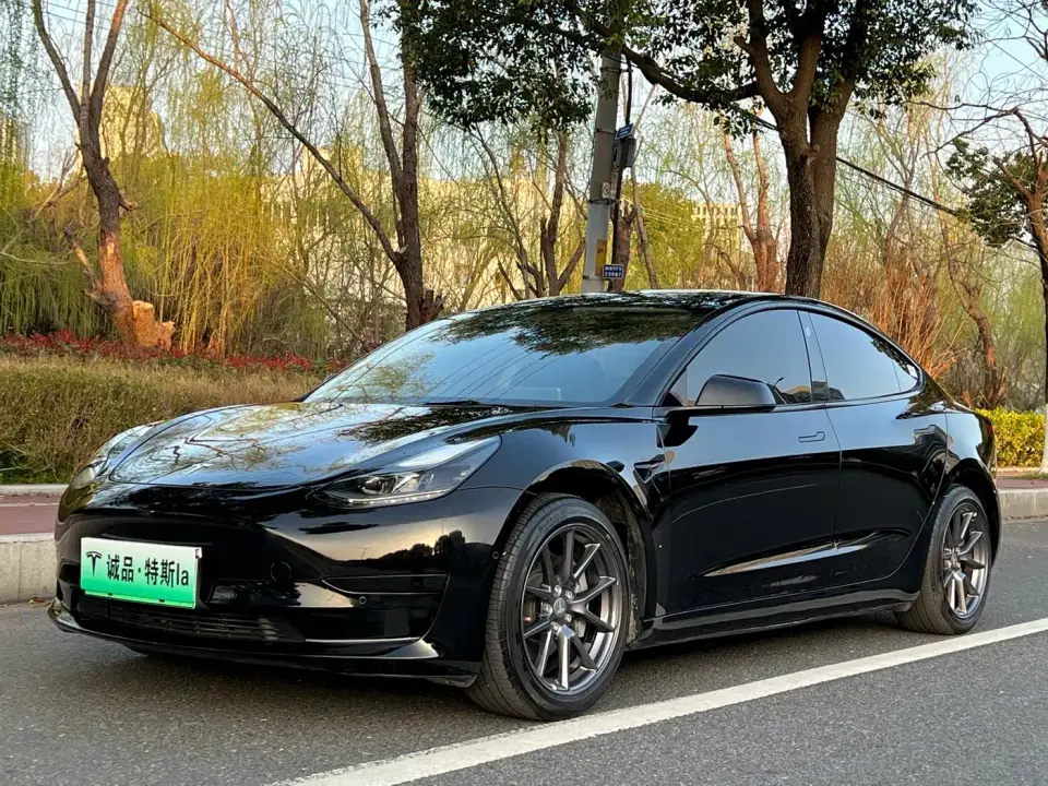 Tesla Model 3 Standard Range Rear-Wheel Drive Upgrade 2021