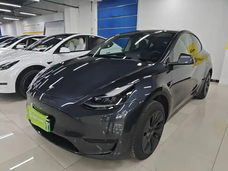 Tesla Model Y Rear-Wheel Drive Version 2024