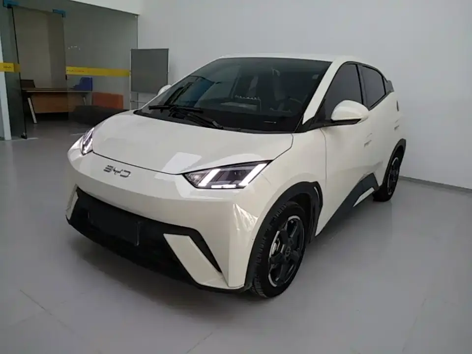BYD Seagull Glory Edition 305km Freedom Edition 2024