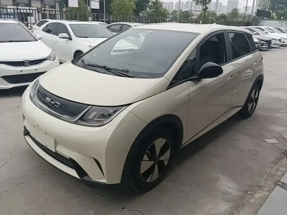 BYD Dolphin 420km Freedom Edition 2023
