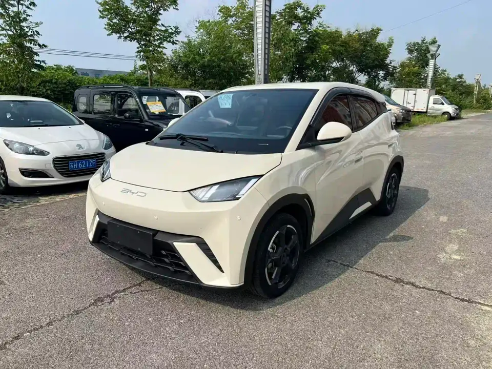 BYD Seagull Glory Edition 305km Vitality Edition 2024