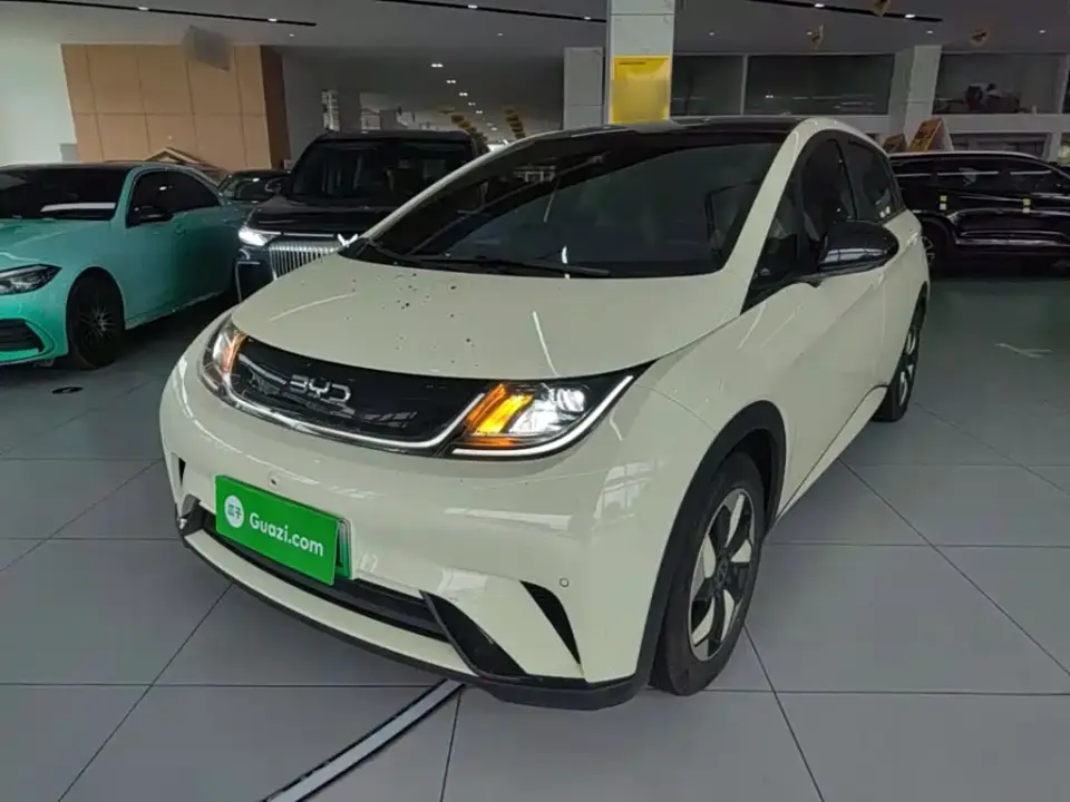 BYD Dolphin Glory Edition 420km Fashion Edition 2024