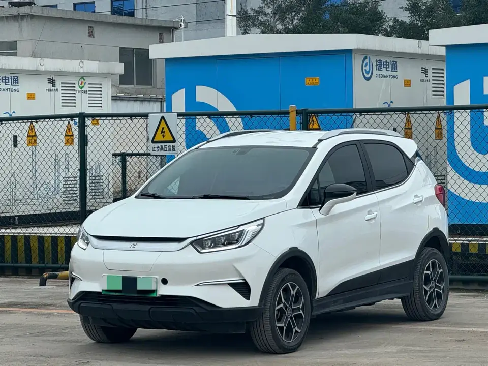 BYD Yuan Pro 401KM Luxury Model 2021